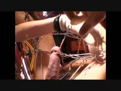 Bondage disciplin sadomasochisme