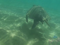 Amateur, Plage, Gros cul, Robe, Noir ébène, Pov, Mamelons bombés, Nénés