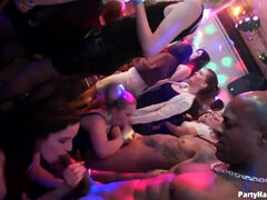 Hard Sex Party With Drunk Whores - Hard Sex