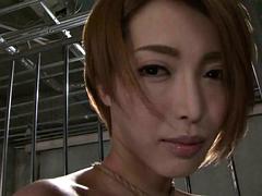 본디지 훈육 사디즘 마소치슴, 본디지, 일본인