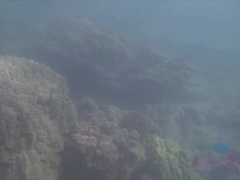 Bikini, Brunett, Blottande, Flickvän, Kysser, Utomhus, Pov, Tuttar