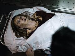 Babe, Stor rumpe, Kukk suging, Pikk, Hd, Pornostjerner, Barbert