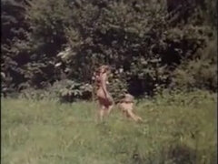 Nemke, Orgija, Retro