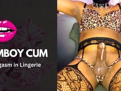 Amatör, Asiatisk, Stor kuk, Sperma shot, Ladyboy, Underkläder, Onani, Solo