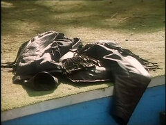 Krásky, Veľké péro, Veľké kozy, Kuřba, Kompilácia, Spermie v puse, Vlasatej, Zastarané