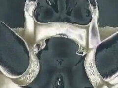 Amatööri, Vibraattori, Ääripää, Gaping, Lisäys, Itsetyydytys, Äiti jota haluaisin panna, Vibraattori