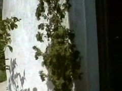 그룹, 이탈리아인, 엄마