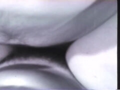 Gros cul, Grosse bite, Gros seins, Sucer une bite, Éjaculer dans la bouche, Orgie, Chatte, Rétro ancien