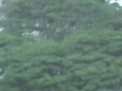 Zadek, Pláž, Velký zadek, Vlasaté, Latinské, Dospělé, Milf žcbp, Sólo