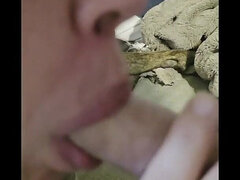 Enthousiasteling, Pijpbeurt, Stel, Huisgemaakt, Huisvrouw, Interraciaal, Latijnse vrouw, Gezichtspunt