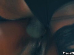 Store bryster, Sort, Pik sutte, Sort, Kvinde, Håndjob, Kontor, Shemale