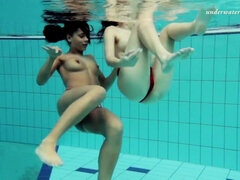 Bikini, Hd, Lesbické, Bazén, Na veřejnosti, Vyholené, Sólo, Kozičky