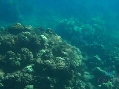 Amaterji, Rit, Rjavolaska, Girlfriend, Muco, Obrito, Joške