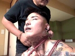 Bdsm, Bondage, Brutalno, Dominacija, Fisting, Gej, Hardcore