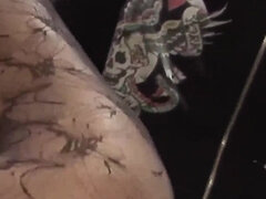 Hatalmas hátsó, Cumizás, Angol, Gesztenyebarna, Felszarvazott, Kőkemény, Fehérnemű, Érett feleség