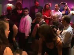 Ponygirl in public disgrace