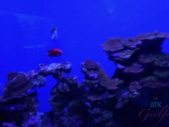 Παραλία, Μεγάλος κώλος, Μαύρος, Η κοπέλα μου, Πρώτου προσώπου, Δημόσιο, Μεγάλες ρώγες, Βυζιά