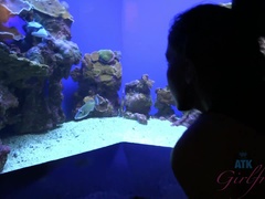 Ερασιτέχνης, Κώλος, Μελαχροινή, Πόδια, Μαλακία με το πόδι, Πρώτου προσώπου, Ντουζ, Δονητής