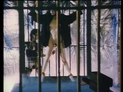 Grande cazzo, Pompino, Schizzo di sborra, Facciale, Hd, D'annata