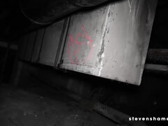 Gets A Nice Cum Load After A Hot Fuck Session Dating With Melina May And Steven Shame