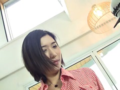 Amatéri, Ázijskej, Mačiatko, Hardcore, Medzirasové, Kórejskej