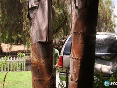 GILF Cashmere fucks her best friend's son