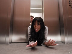 Velký zadek, Velké péro, Velké kozy, Kuřba, Brunetka, Na pejska, Ebenové, Milf žcbp