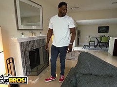 Črnke, Fafanje, Kurac, Temnopolti, Hardcore, Pritlikavec, Naravne joške, Majhen