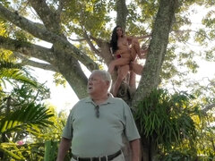 Lieveling, Pijpbeurt, Bruinharig, Hondjeshouding, Hd, Natuurlijke tieten, Gezichtspunt, Rijden