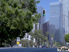 Anaali, Perseestä suuhun, Suihinotto, Ruskeahiuksinen, Naamallinen, Selkäsauna, Pillu, Ratsastaa