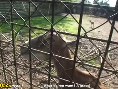 Anal, Smuk, Stor røv, Pik sutte, Brunette, Sød, Udendørs, Offentlig