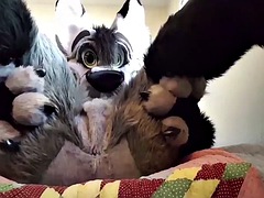 Amatéri, Kompilácia, Fetiš, Gay