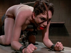 Bondage disciplina dominação submissão sadismo e masoquismo, Bondagebeldade, Dominação, Masturbação, Humilhação, Dor, Punição