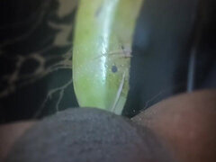 Anál, Indické, Masturbácia