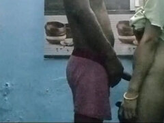 Amatööri, Iso kulli, Intialainen