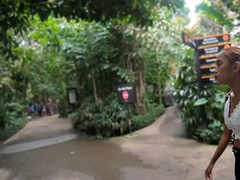 Amatéri, Ázijskej, Veľké péro, Výprask, Z pohľadu účastníka, Swingers, Thajskej, Kozičky