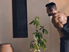 Anális szex, Monumentális dákó, Cumizás, Gesztenyebarna, Öklözés, Maszti, Nőférfi, Begyek