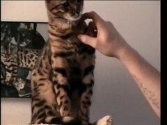 Straight Boy Marshall Off