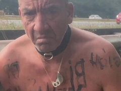 Hollantilainen, Käsihoito, Julkinen