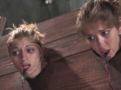 Bdsm, Velike joške, Lezbijke, Trojček