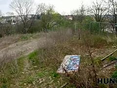 Loiroa, Corno manso, Tchecoa, Hd, Gritar