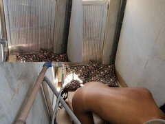 18 anos, Amador amadora, Morena, Casal, Gozar na boca, Feito em casa, Latina, Adolescente