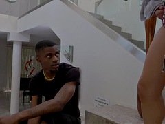 Babe, Store pupper, Kukk suging, Lubben, Runke, Moden, Milf, Pupper