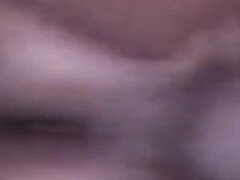 Amatéri, Kuřba, Pár, Medzirasové, Striekať