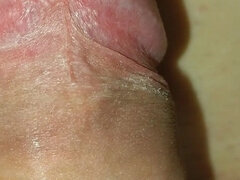 Amatőr, Anális szex, Európai, Egyedül