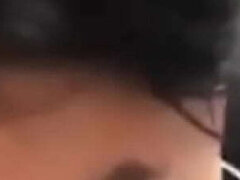 Amatør, Røv, Fed, Latinsk