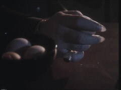 Loiroa, Morena, Clássicoa, Facial, Peludoa, Italianoa, Vintage