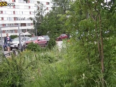 Tekintélyes didik, Gesztenyebarna, Sarokkal való, Szabadban, Hármas