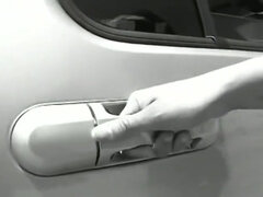 Ameriški, Fafanje, Rjavolaska, Globoko grlo, Temnopolti, Naravni, Bradavičke, Joške