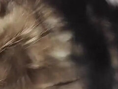 Amateur, Gros cul, Gros seins, Brunette brune, Piercing, Strapon, Toilettes